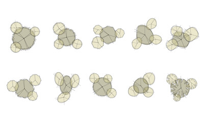 tree top view plant landscape architecture nature garden aerial vector. trees branch isolate collection illustration environment green botany urban bush park. tree architecture conifer decorative.