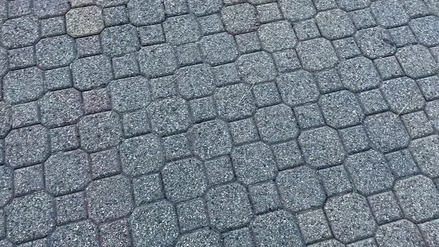 From above, a cobblestone brick walkway resembles a meandering mosaic of rugged stones, weaving a rustic path under dappled sunlight, evoking a timeless charm.