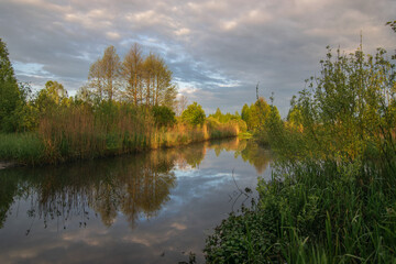 small lake in the woods