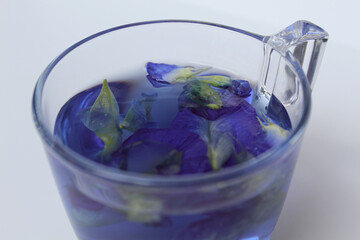 Brewed fresh butterflypea flower petals, or Clitoria ternatea tea. Purple color water. Inside transparent glass, isolated on white background