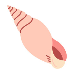 Hand drawn Rapa Snail Seashell. Trendy flat style seashell illustration. Souvenir seashell isolated on white background. Vector illustration