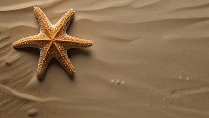 Fototapeta na wymiar starfish on sand in beach 