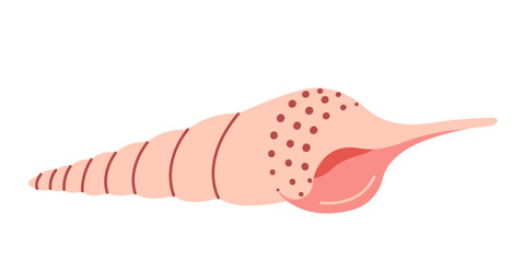 Hand drawn Murex Seashell. Trendy flat style seashell illustration. Souvenir seashell isolated on white background. Vector illustration