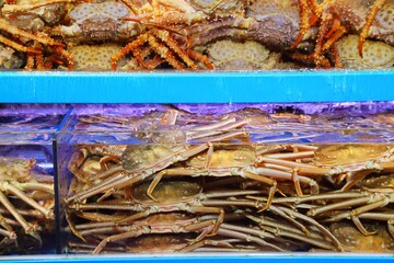 Live crabs in market aquariums in Korea