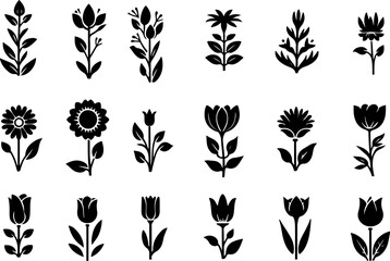 Fototapeta premium Set de fleurs, vecteur noir fond transparent