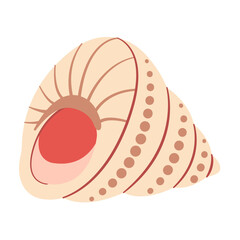 Hand drawn Seashell. Trendy flat style seashell illustration. Souvenir seashell isolated on white background. Vector illustration