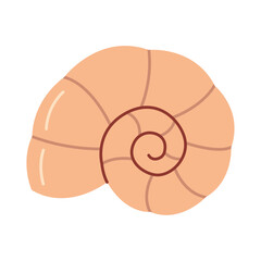 Hand drawn Seashell. Trendy flat style seashell illustration. Souvenir seashell isolated on white background. Vector illustration
