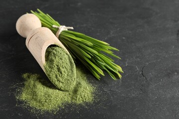 Wheat grass powder in scoop and fresh sprouts on grey textured table, closeup. Space for text
