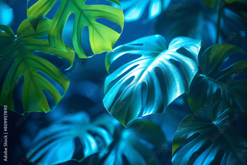 Poster desktop organizer wallpaper with a functional gradient from green to blue, providing a calming backd