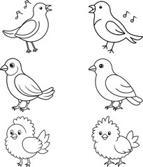 set of birds on white background