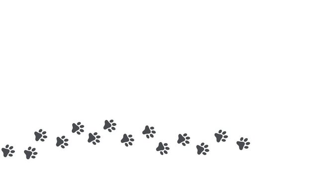 dog paw, cat paw trail print isolated on white background. 4k animated video with copy space