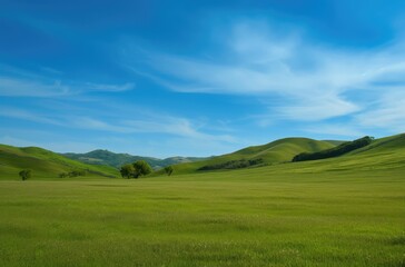 Serene Green Rolling Hills on Sunny Day