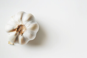 Head of garlic, bulb of of garlic, on white background, copyspace