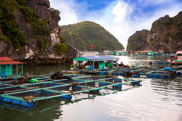 Floating fishing village in sea bay in Vietnam, boats and islands © Maresol
