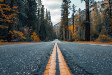 Closeup of asphalt road through beautiful autumn forest.