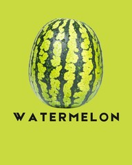 illustration of watermelon standing up