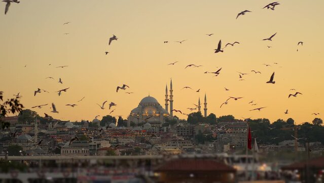 As the sunset casts a golden hue over Istanbul, the city center comes alive against the backdrop of a vast flock of seagulls soaring in the sky.