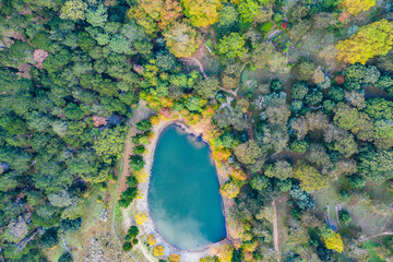 Aerial view, forest and lake in nature for environment, ecosystem or tropical greenery woods. Drone, sustainability and vegetation with overgrown, wilderness and jungle scenery in Switzerland