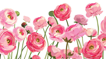 Vector background with pink ranunculus flowers. 