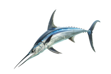 Pacific Blue Marlin Isolated on White Background for Marine Enthusiasts