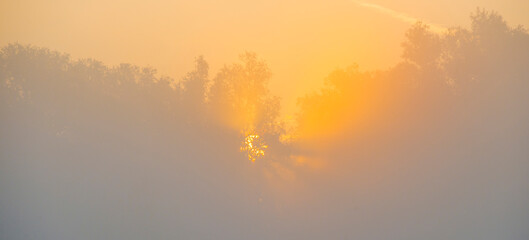 The edge of a lake with reed in wetland in springtime at sunrise , Almere, Flevoland, The Netherlands, May 9, 2024