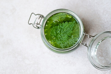 Homemade herbal remedy nettle tincture. A glass jar with nettle leaves on white table. Weight loss...