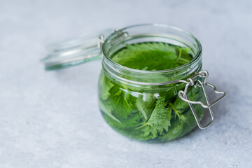Homemade herbal remedy nettle tincture. A glass jar with nettle leaves on white table. Weight loss...