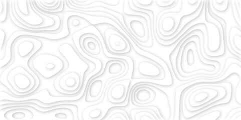 Abstract background with waves. Abstract papercut and multi layer cutout geometric pattern on vector, Abstract soft white background with waves, textured Papercut | background | abstract background.