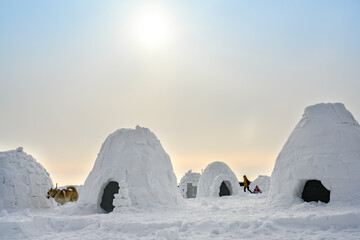 A dog next to an igloo, a traditional shelter of the northern peoples from the cold, made of snow