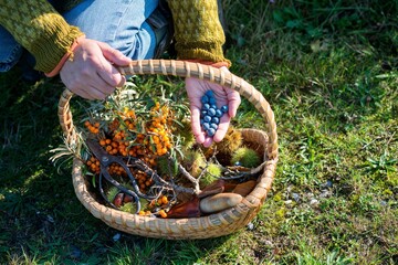 person holding a full of flowers