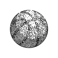 black basketball ball hand drawn. orange equipment, competition line, texture leather black basketball ball vector sketch. isolated black illustration