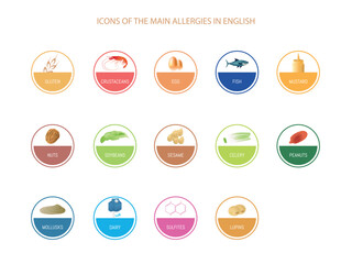The image is a collection of circles of different colors, each one with a symbol representing the different food allergies.Text in English
