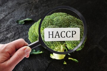 Haccp : magnifying glass on the background