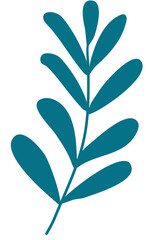  Abstract flowers design for  frame background .Colorful flowers background PNG illustration.Exotic plants, branches,art print for  natural products,card,paper,wellness, event,slide,banner.