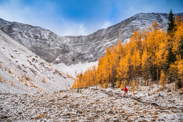 Pocaterra Cirque Trail