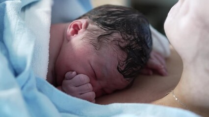 Real life newborn baby resting on mother's chest crying for the first time in the first minutes of life. authentic infant right after childbirth