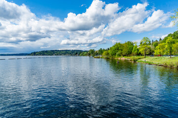 Shoreline Scene At Park