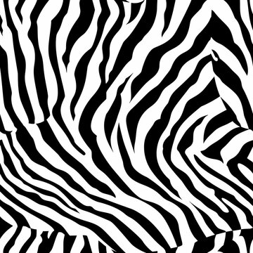 Zebra seamless pattern. Black and white animal print. Vector illustration.