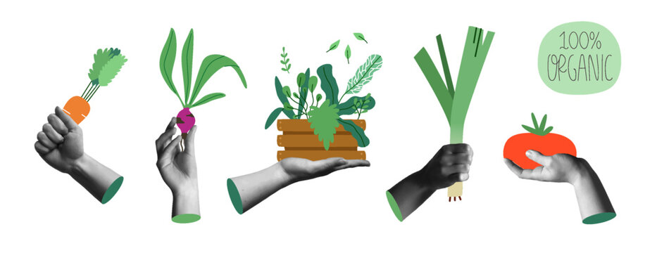 Organic farm product and human hands in retro collage vector illustration set