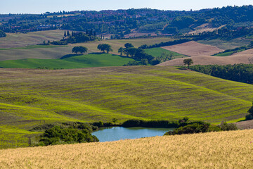 Obraz premium Sunny morning in Val D’Orcia, Siena, showcasing the natural beauty of the countryside
