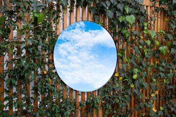 sky in mirror on ivy wall
