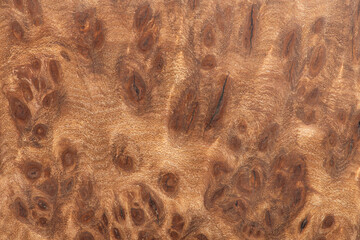 macro photo brown background made of natural wood. A