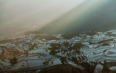 Terraced fields and pastoral villages in Yuanyang County, Yunnan Province