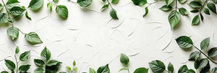 Green leaves artistically arranged on a textured white background, great for fresh and natural themes.