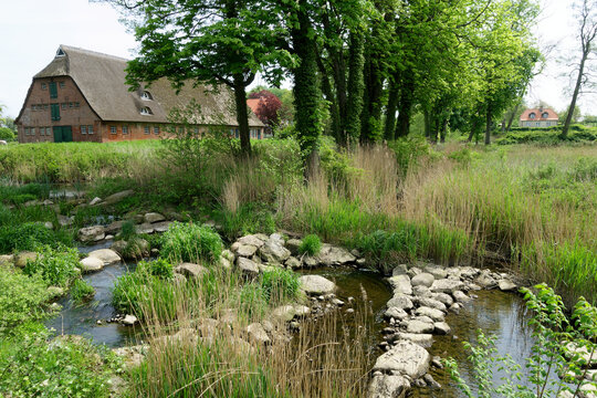 Renaturierung