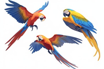 Obraz premium Macaw parrot isolated on white background set