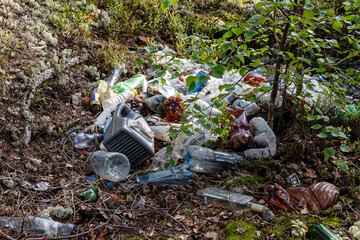 garbage in the forest among Northern Reindeer Lichen and foliage from truckers. environmental...