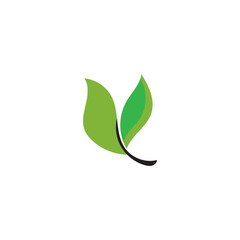 Leaf Nature Logo Design Template Vector