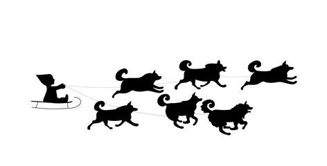 Dog team in the race. Vector silhouette image.