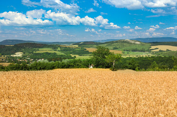 Fototapeta premium photography journey